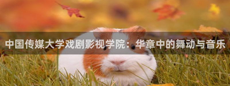 樱桃在线观看电影