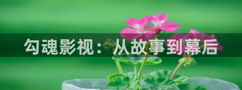 樱桃视频在线观看免费播放